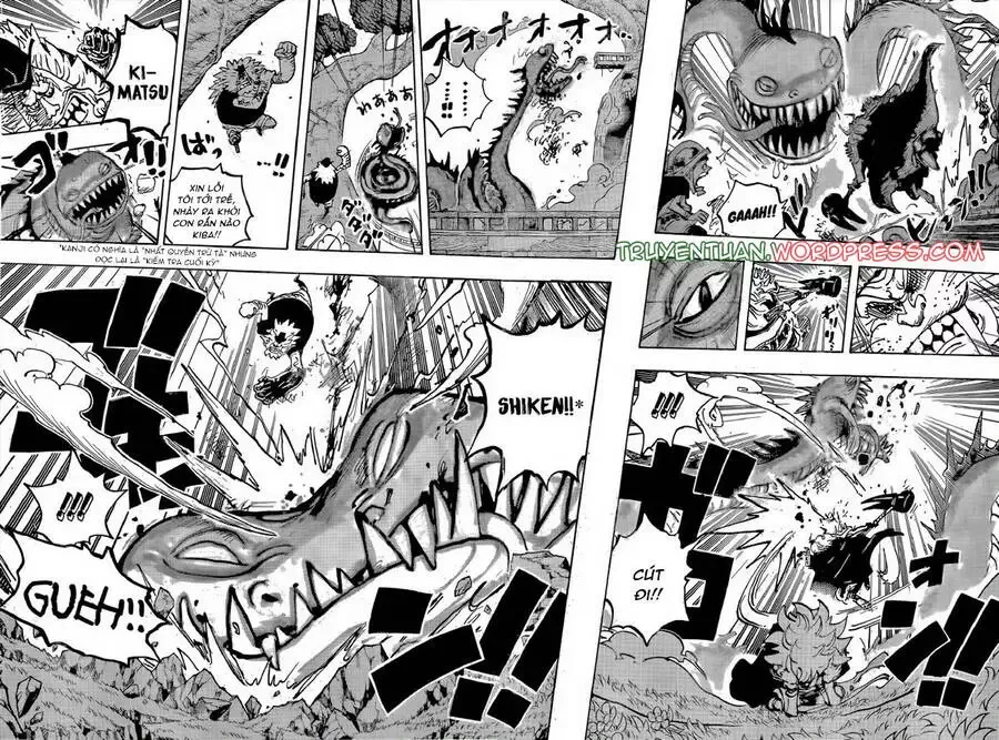 One Piece Tập 1142 - Trang 4