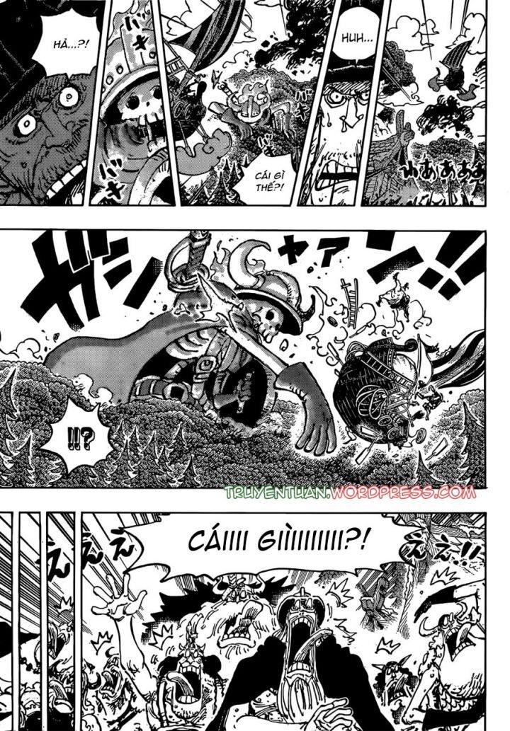 One Piece Tập 1143 - Trang 6