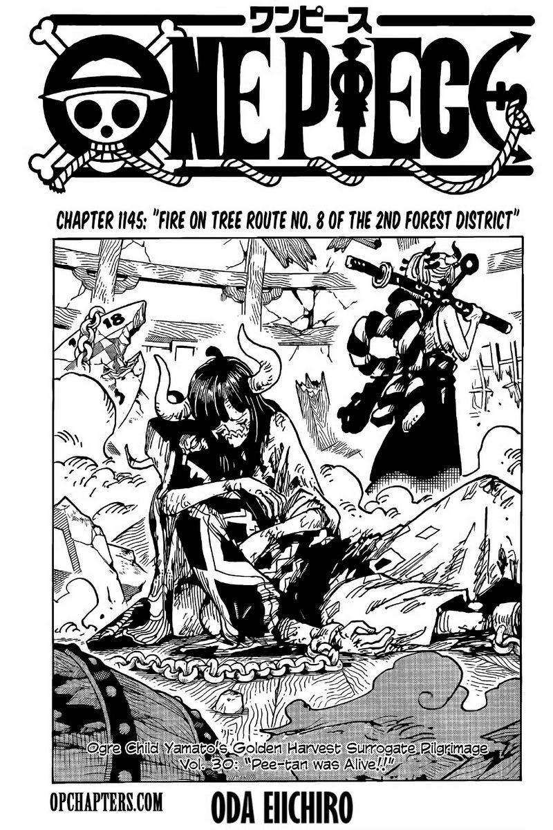 One Piece Tập 1145 - Trang 1