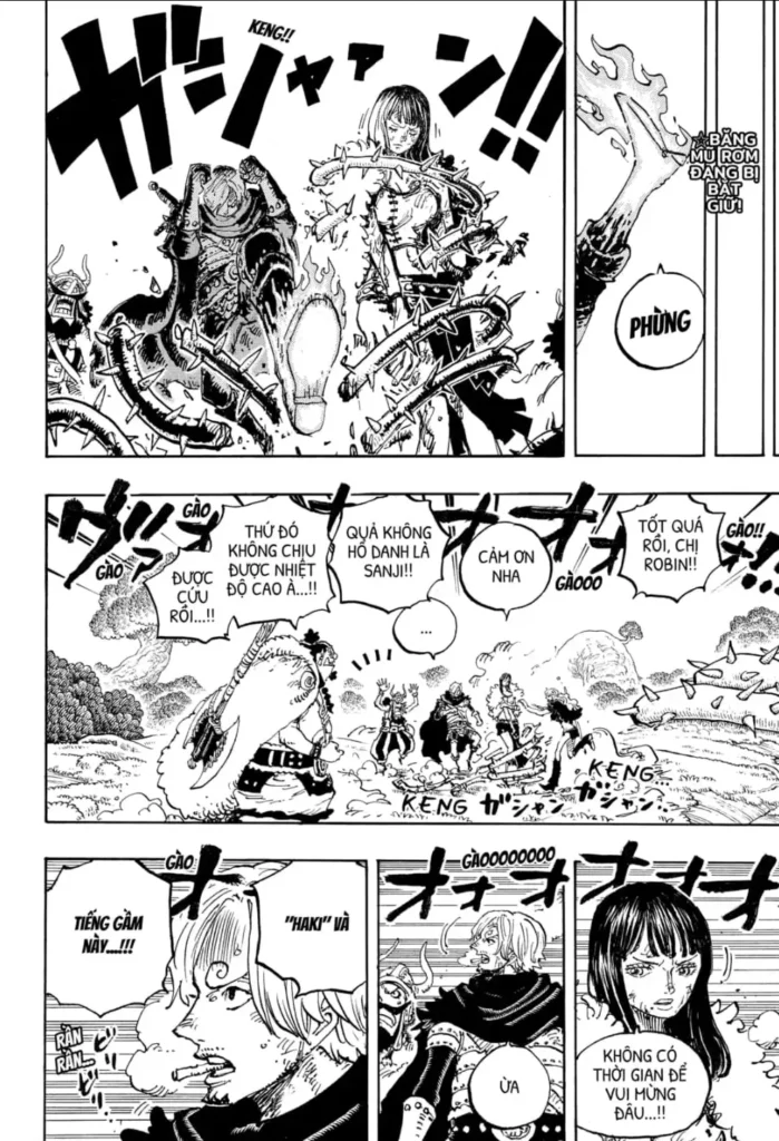 One Piece Tập 1175 - Trang 2