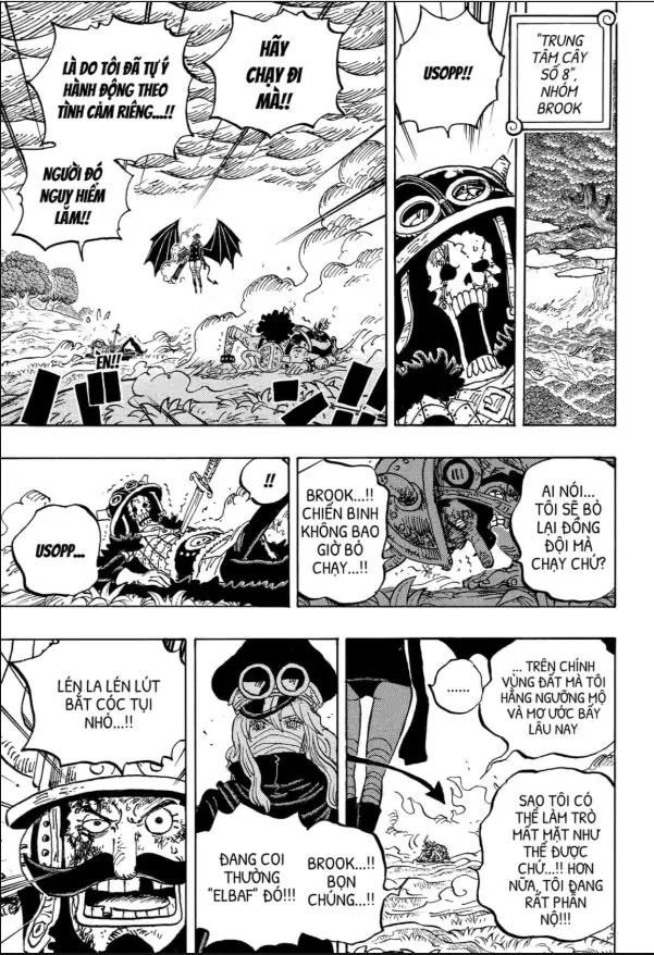 One Piece Tập 1177 - Trang 13