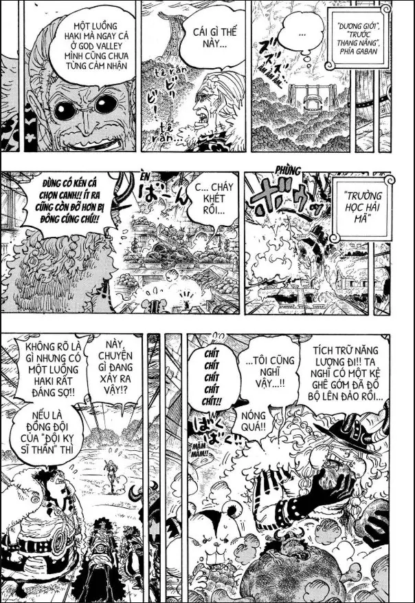 One Piece Tập 1180 - Trang 12
