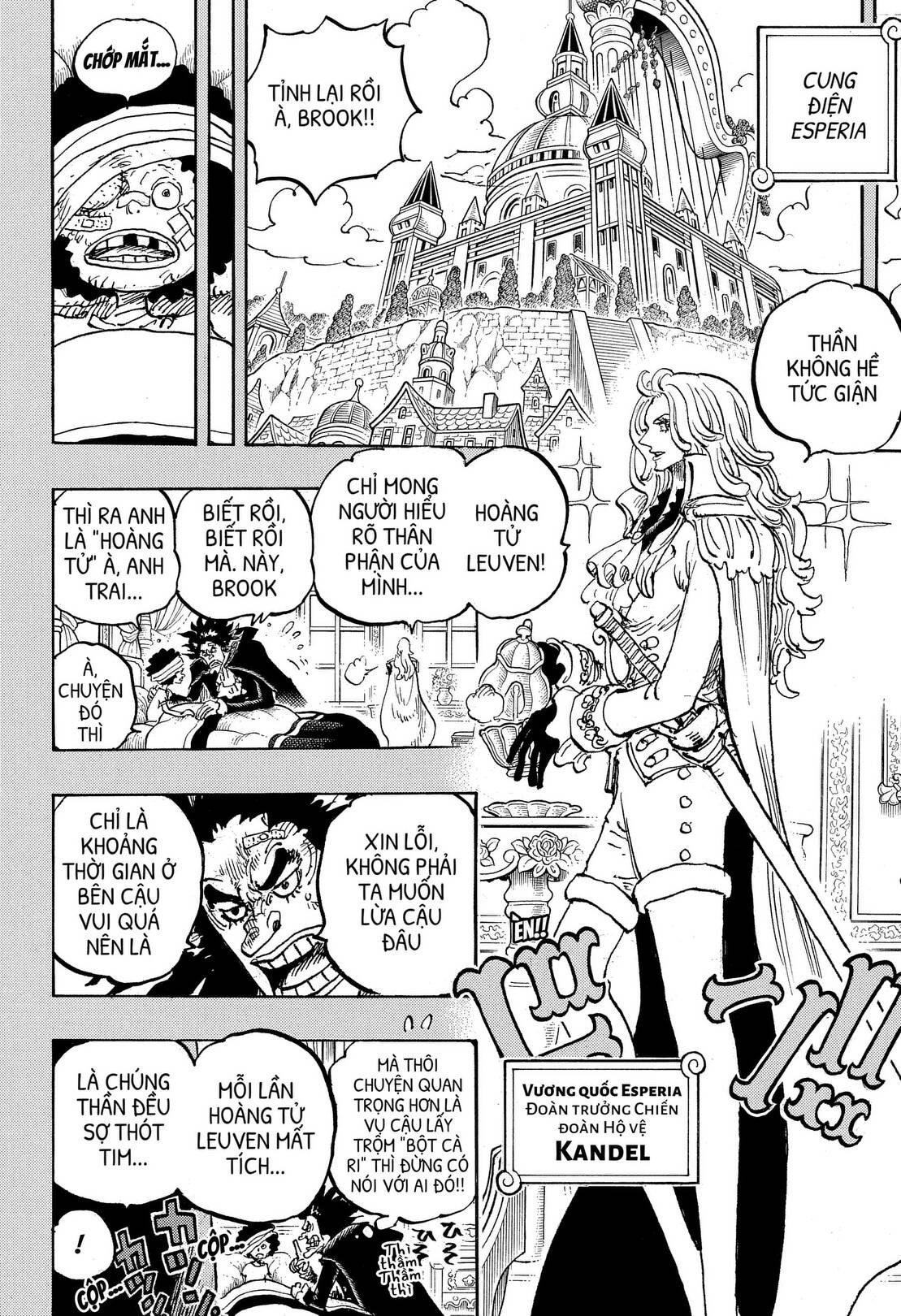 One Piece Tập 1184 - Trang 12