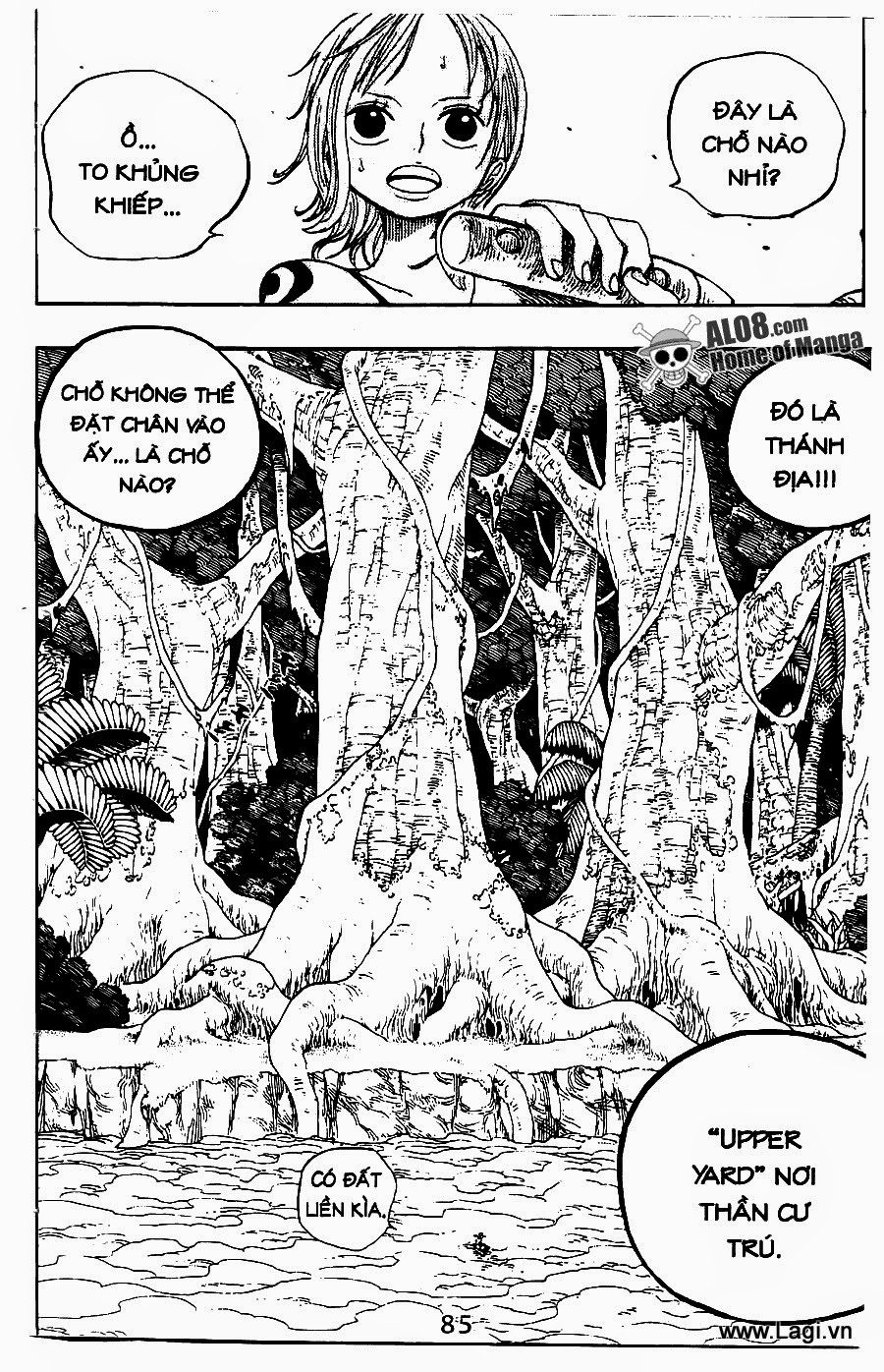 One Piece Tập 240 - Trang 17
