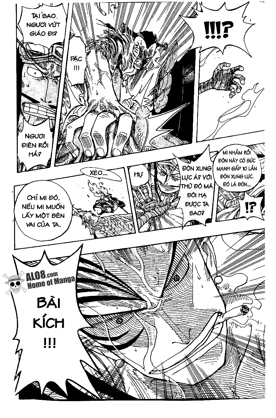 One Piece Tập 256 - Trang 17