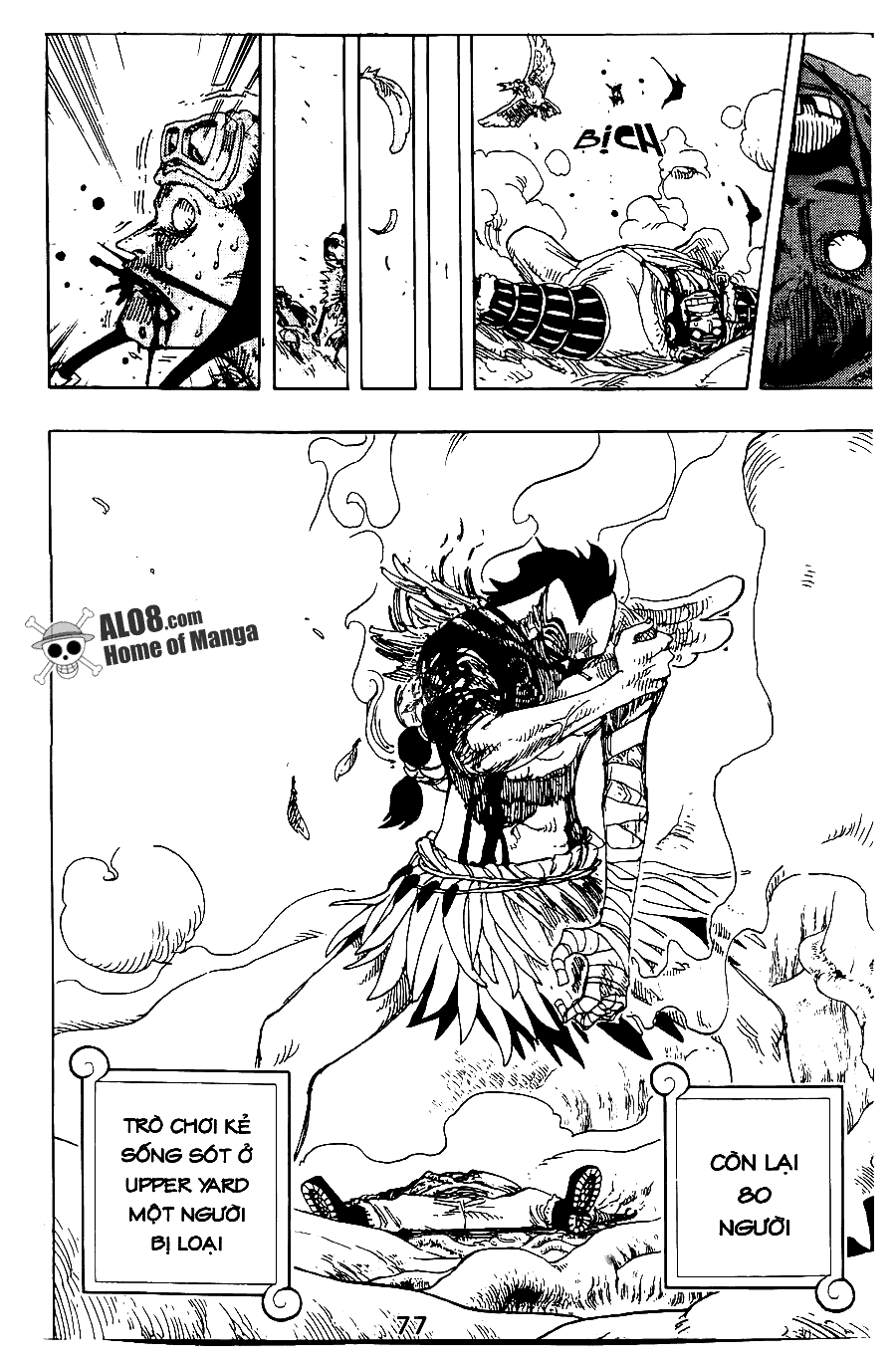 One Piece Tập 256 - Trang 19