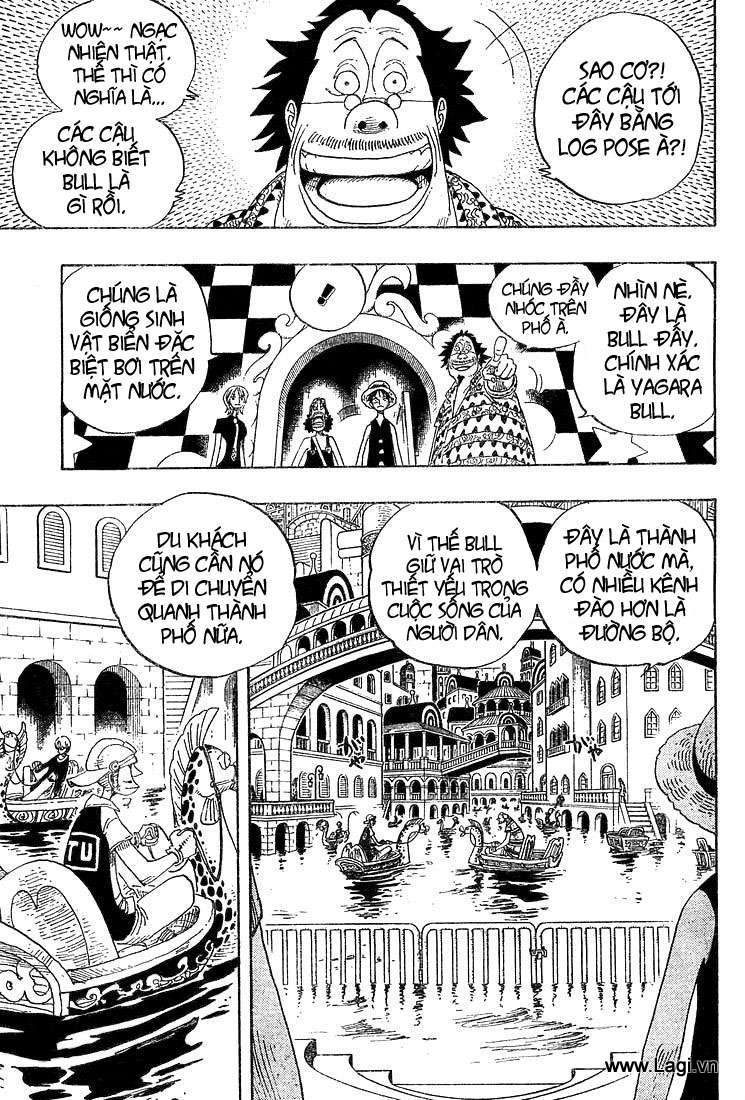 One Piece Tập 324 - Trang 5