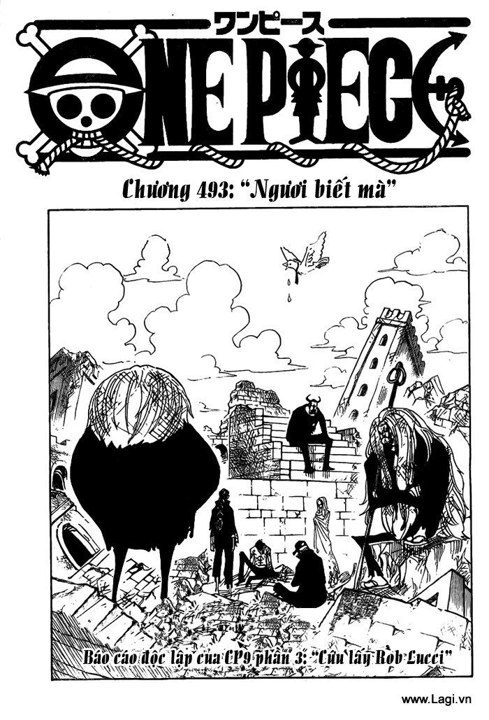One Piece Tập 493 - Trang 1