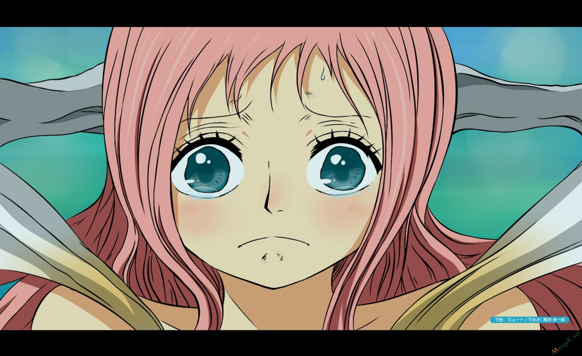 One Piece Tập 635 - Trang 19