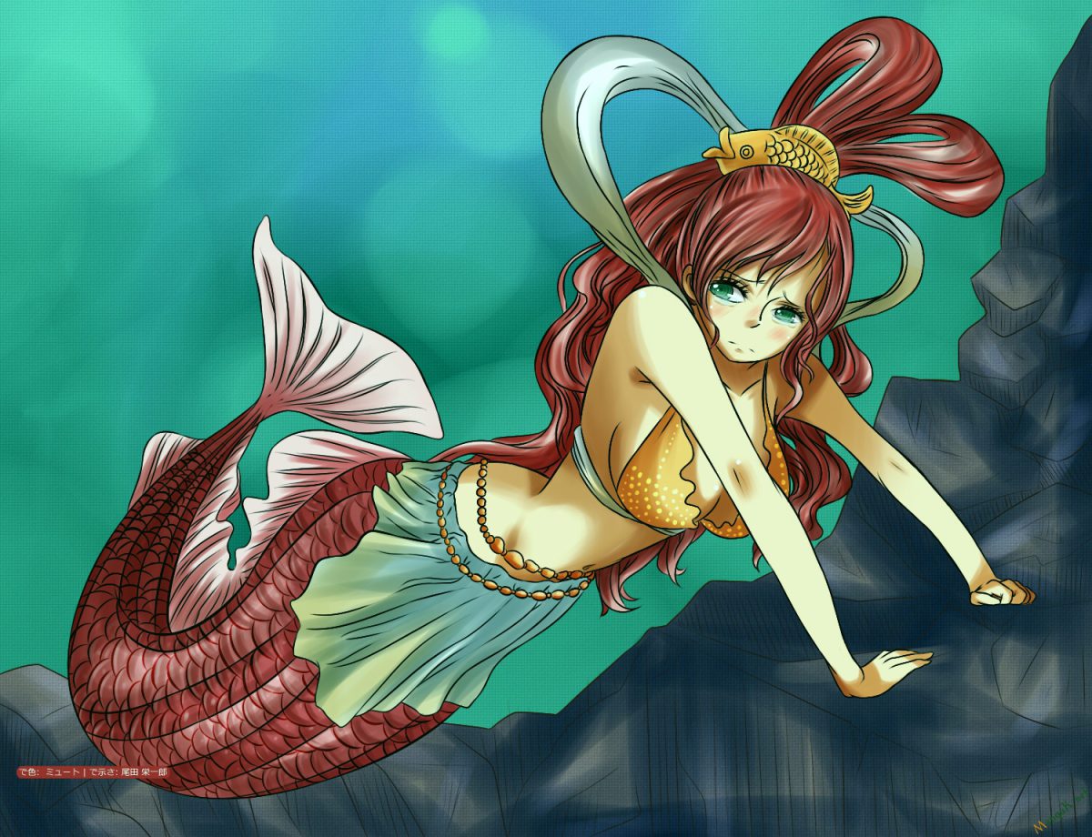 One Piece Tập 652 - Trang 19