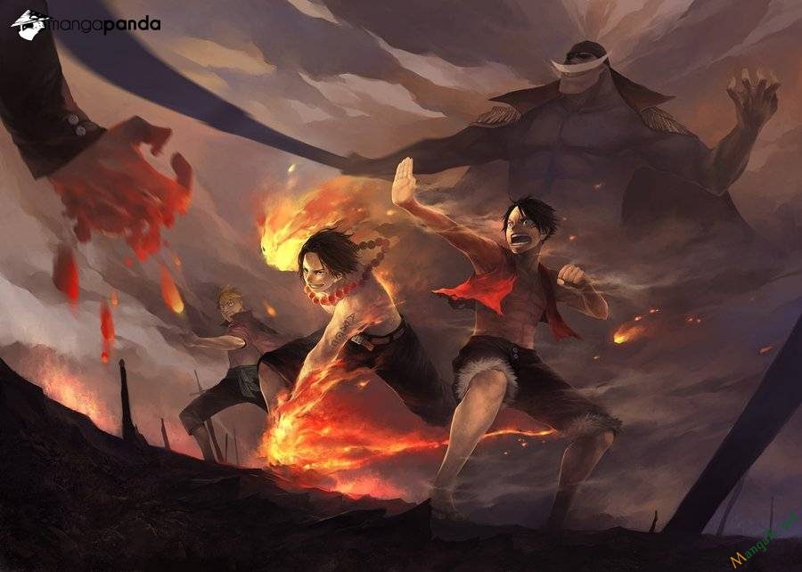 One Piece Tập 708 - Trang 2