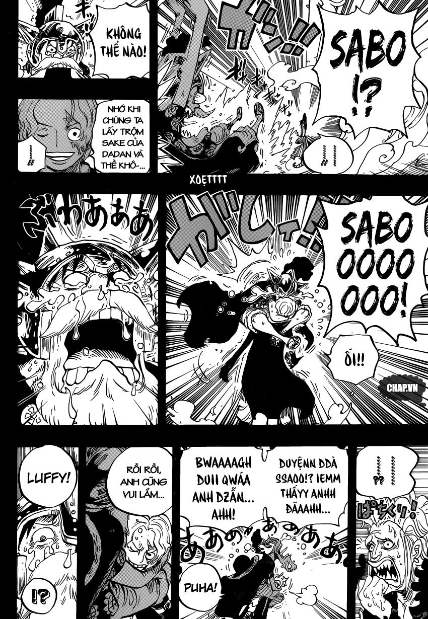One Piece Tập 794 - Trang 11