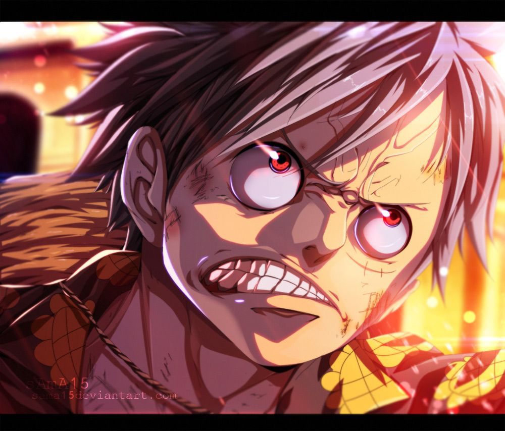 One Piece Tập 795 - Trang 19
