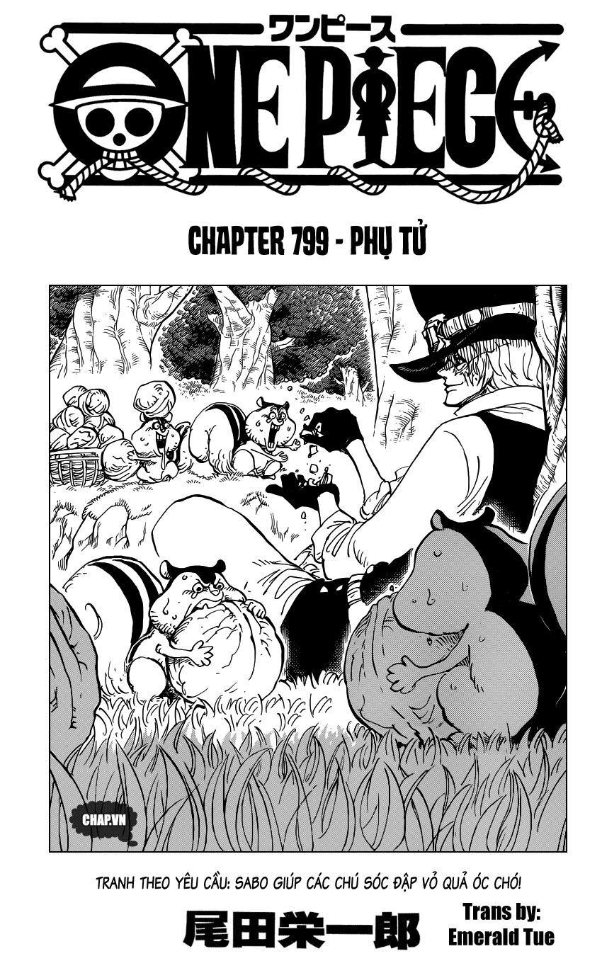 One Piece Tập 799 - Trang 1