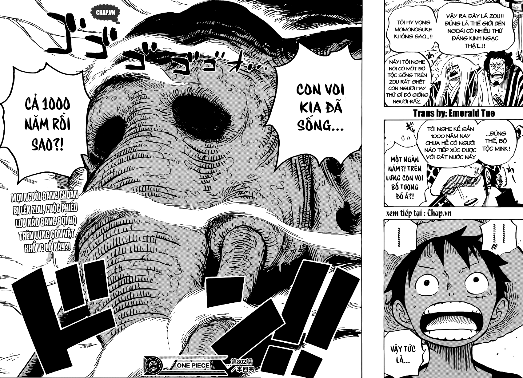 One Piece Tập 802 - Trang 14