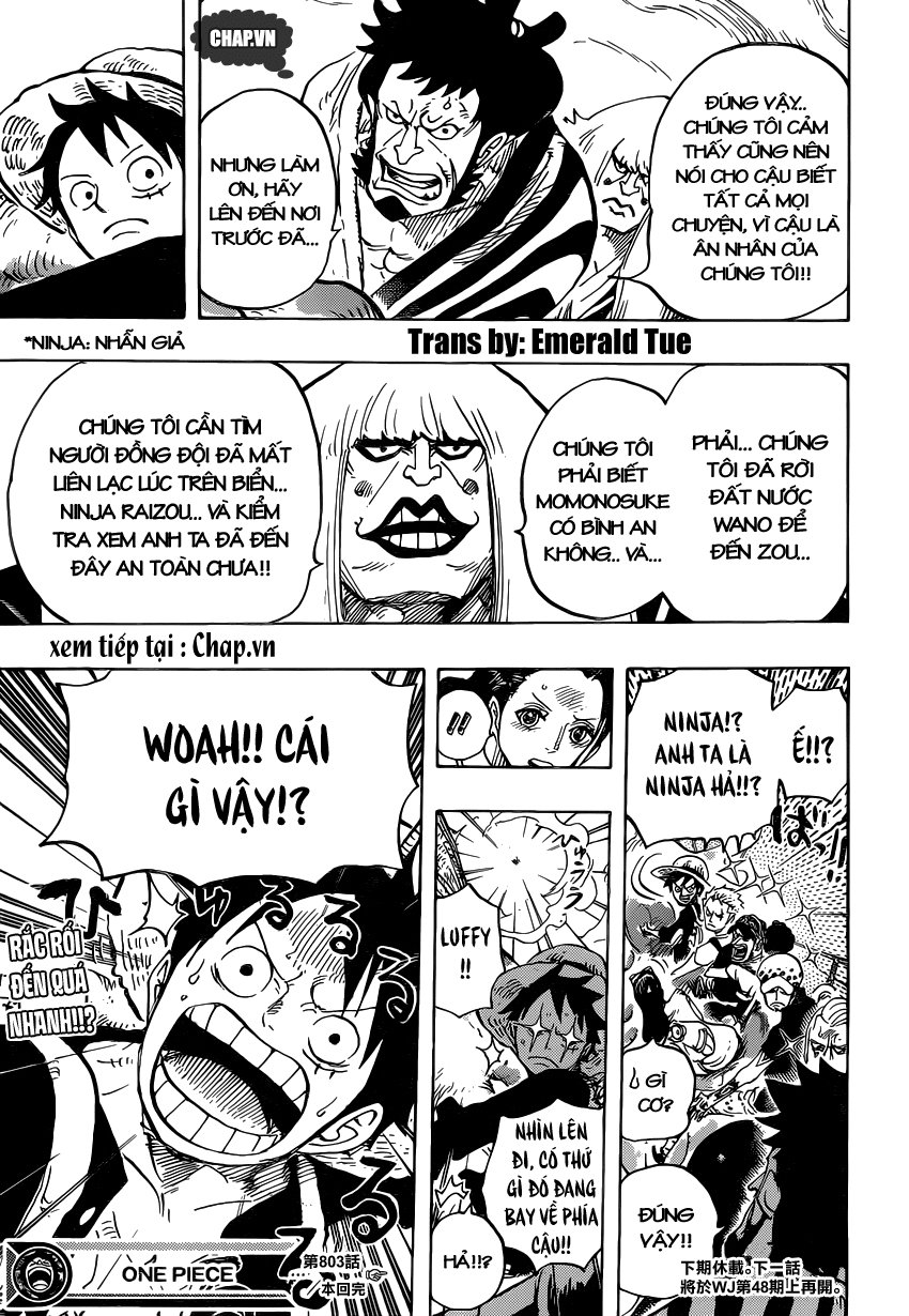 One Piece Tập 803 - Trang 13