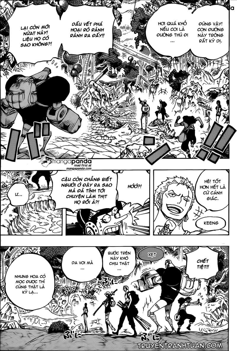 One Piece Tập 804 - Trang 12