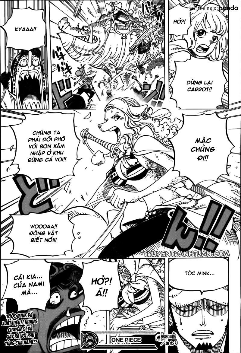 One Piece Tập 804 - Trang 16