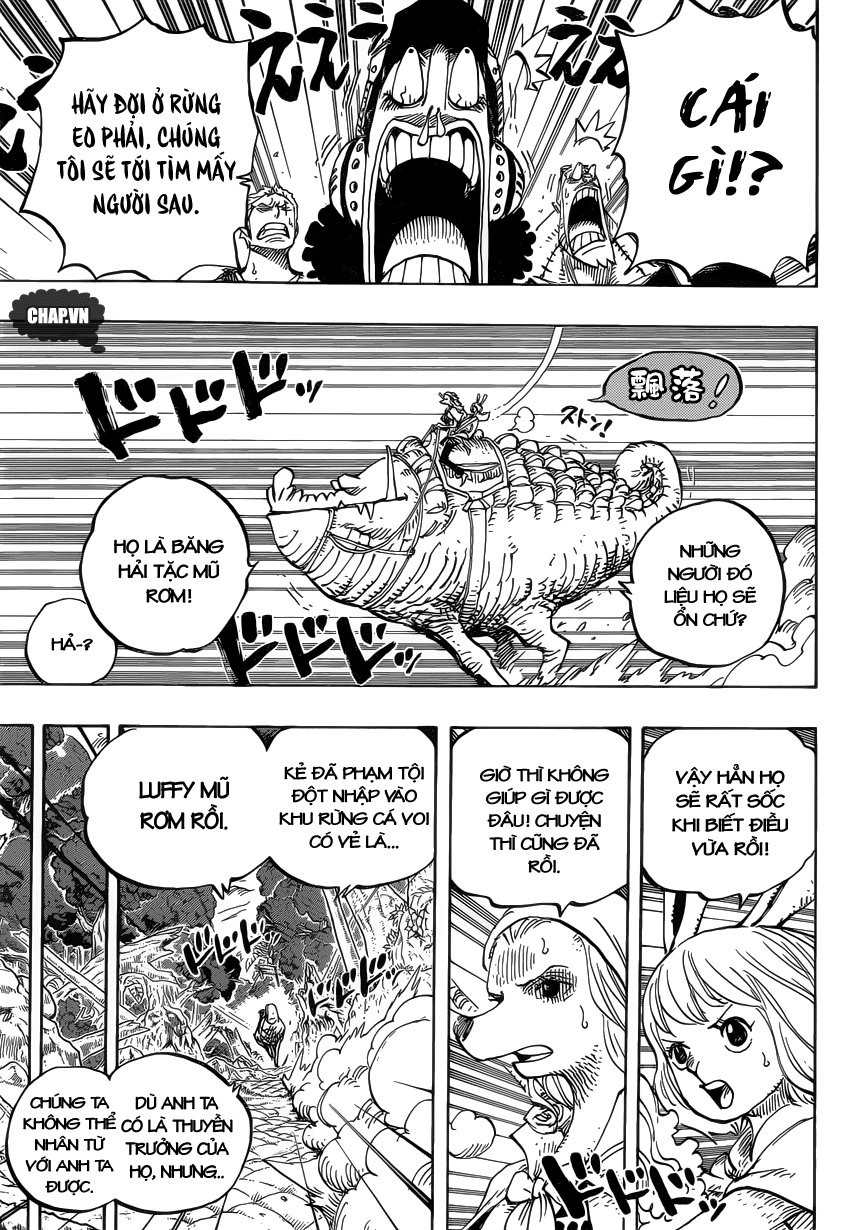 One Piece Tập 805 - Trang 5