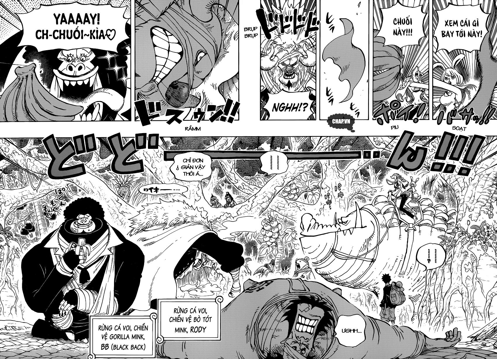 One Piece Tập 805 - Trang 10