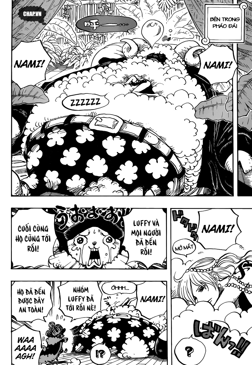One Piece Tập 806 - Trang 11
