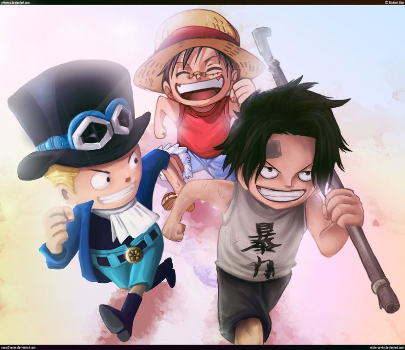 One Piece Tập 806 - Trang 16
