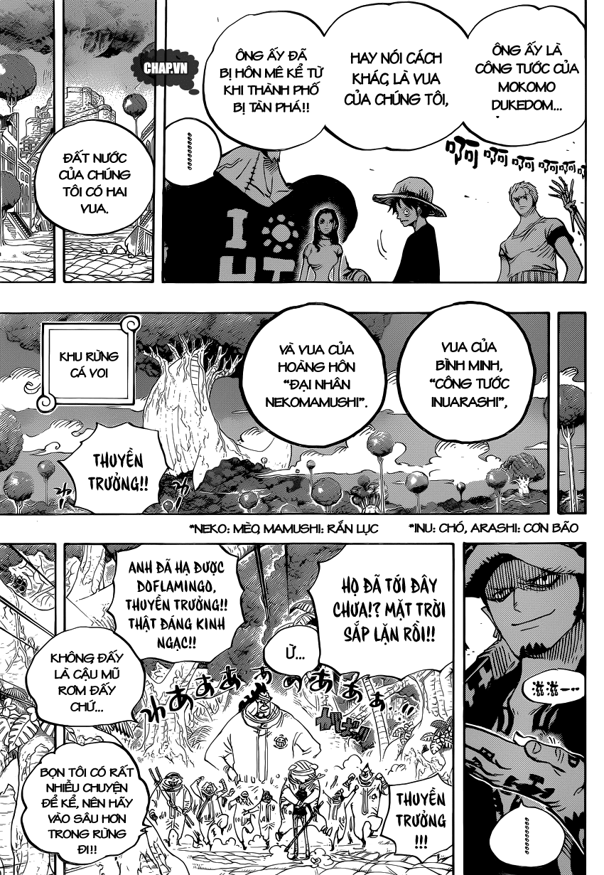 One Piece Tập 807 - Trang 14