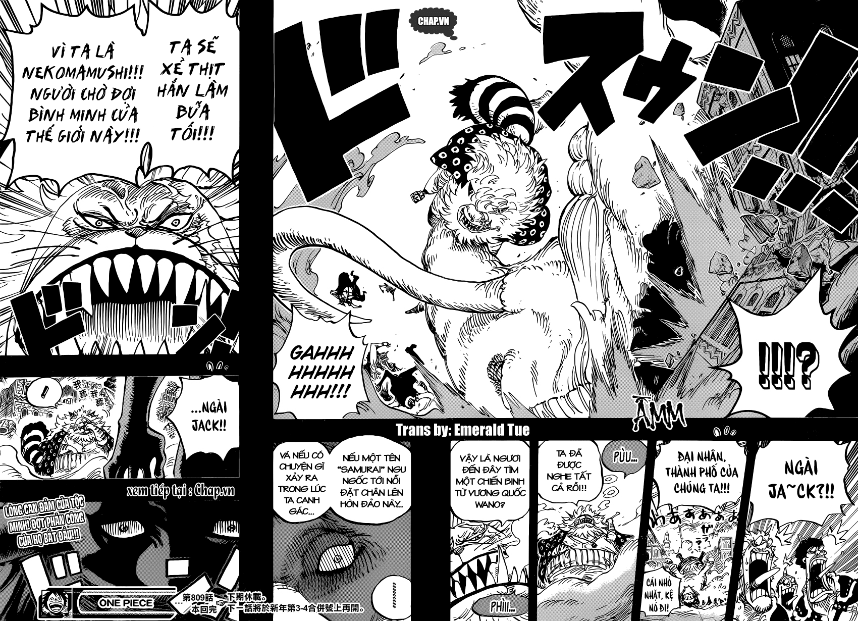 One Piece Tập 809 - Trang 16