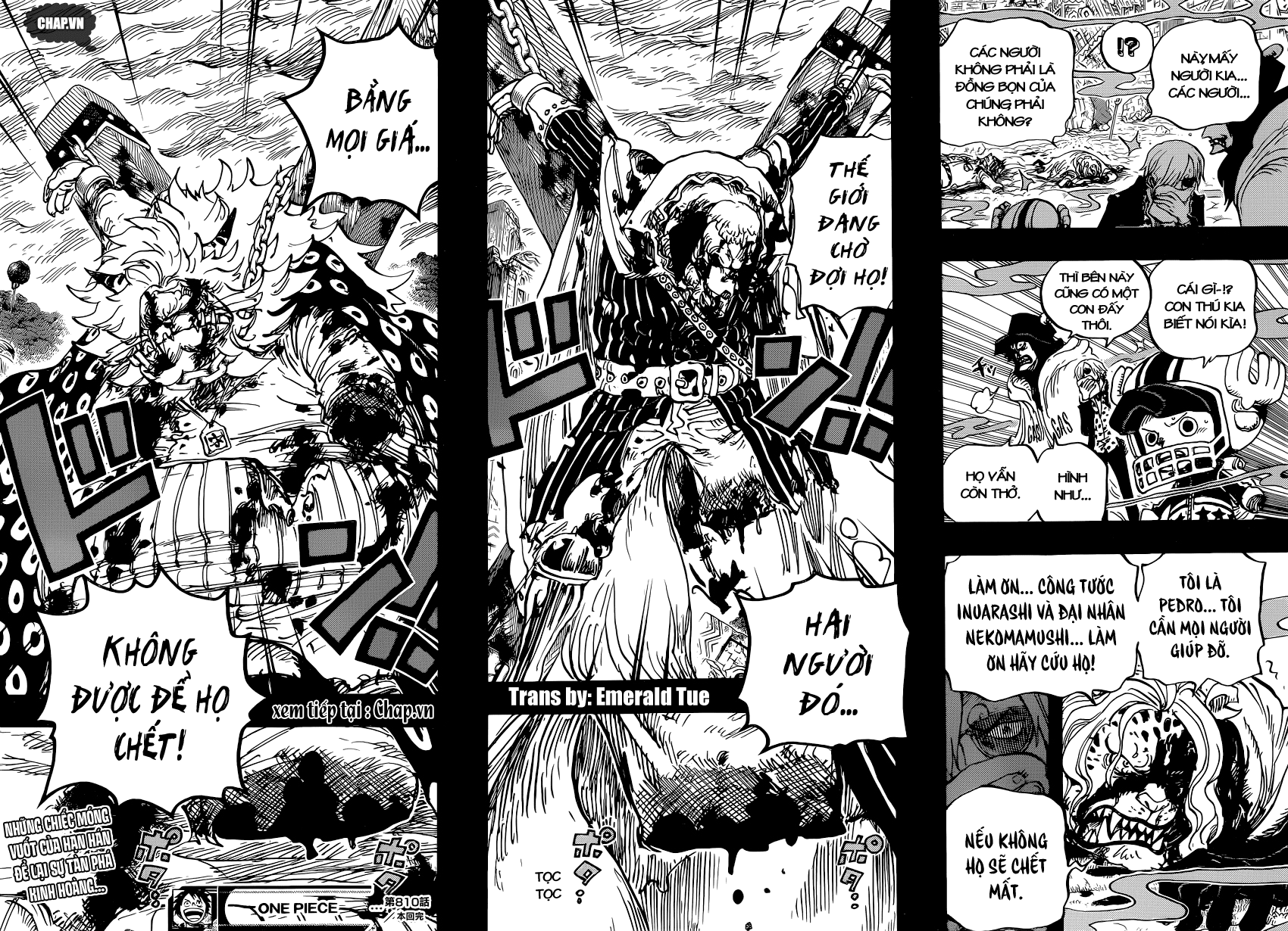 One Piece Tập 810 - Trang 16