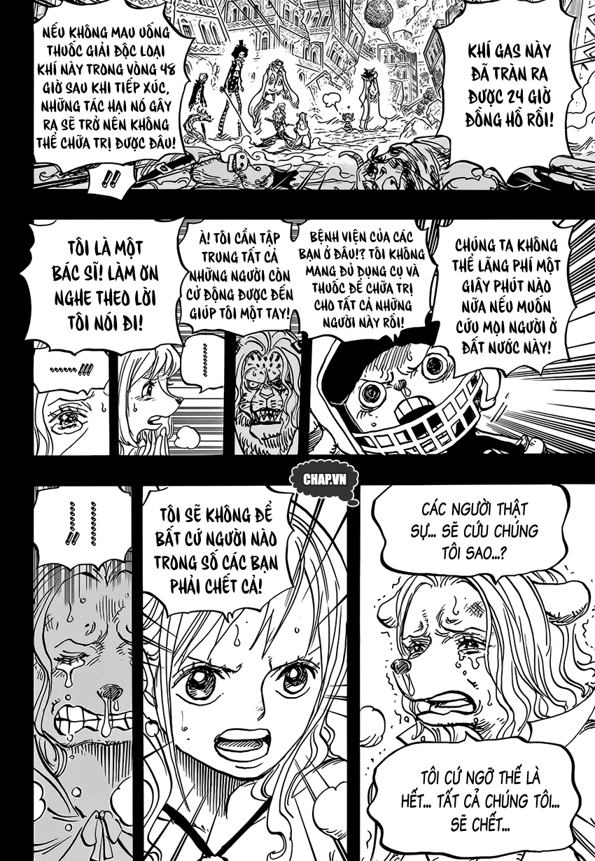 One Piece Tập 811 - Trang 11
