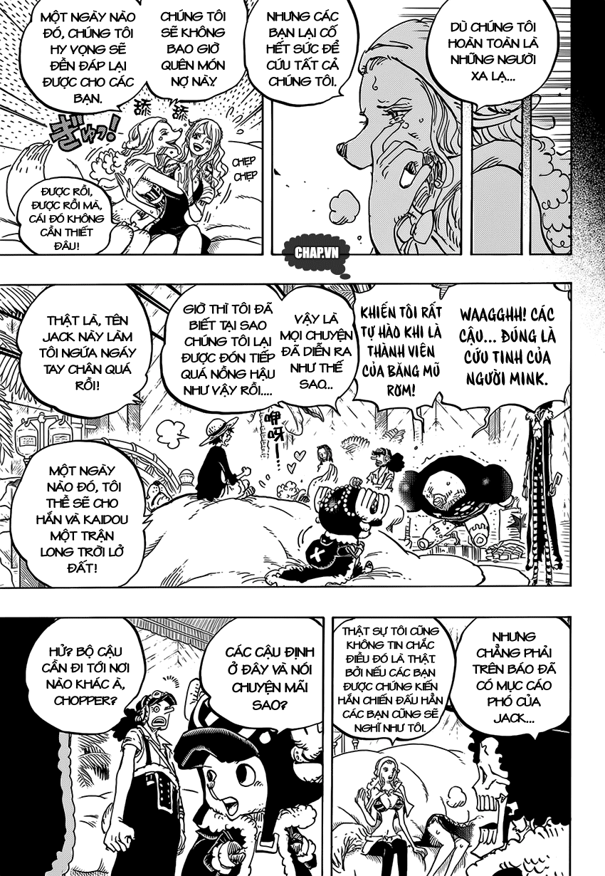 One Piece Tập 811 - Trang 14
