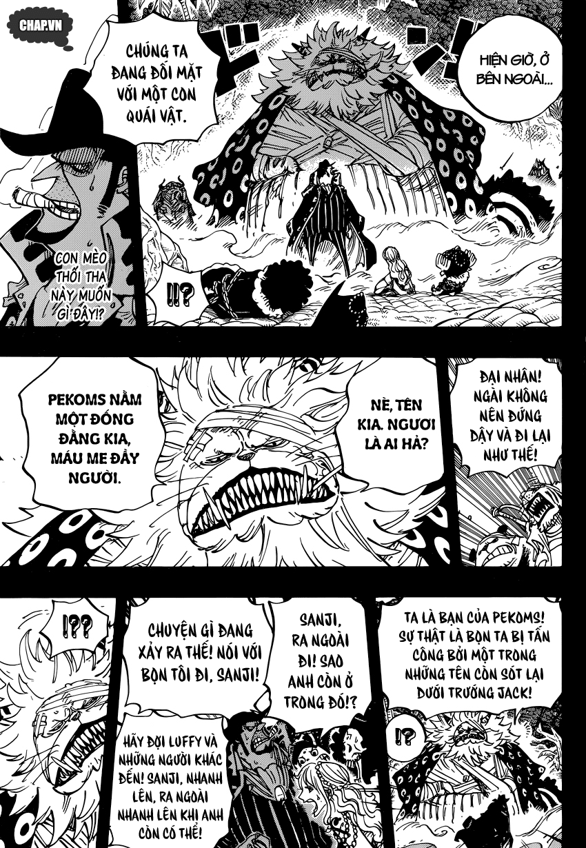 One Piece Tập 813 - Trang 15