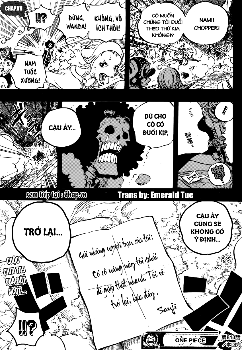 One Piece Tập 813 - Trang 17