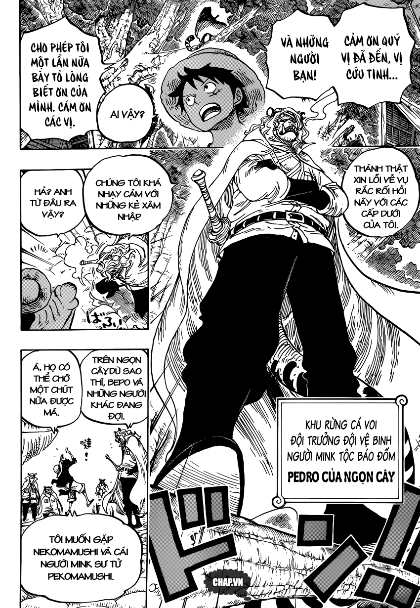 One Piece Tập 814 - Trang 11