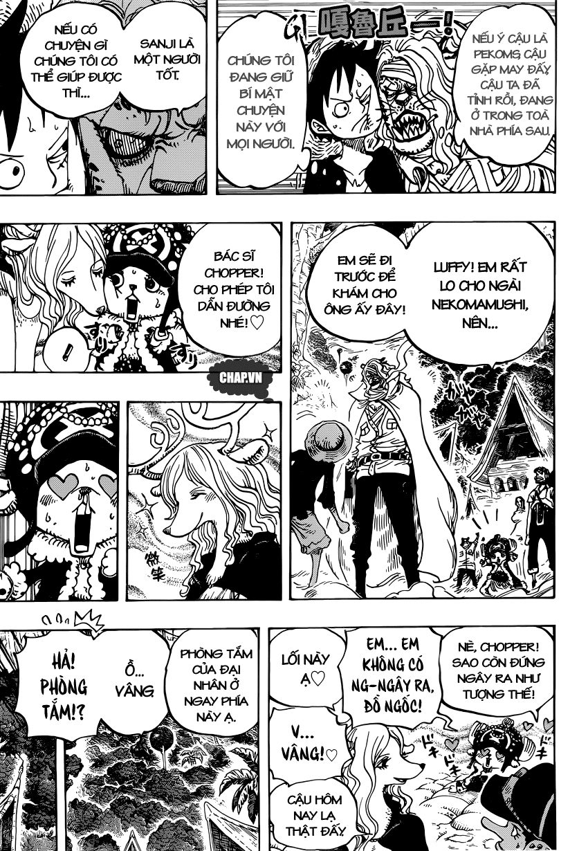 One Piece Tập 814 - Trang 12