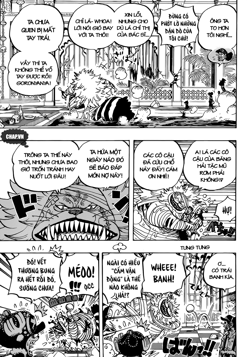 One Piece Tập 814 - Trang 14