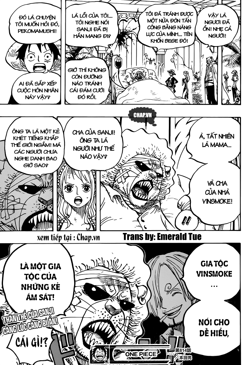 One Piece Tập 814 - Trang 16