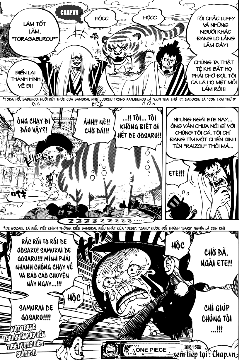 One Piece Tập 815 - Trang 17