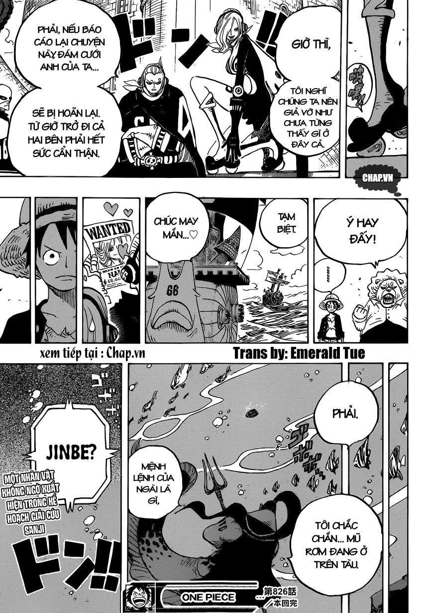 One Piece Tập 826 - Trang 17