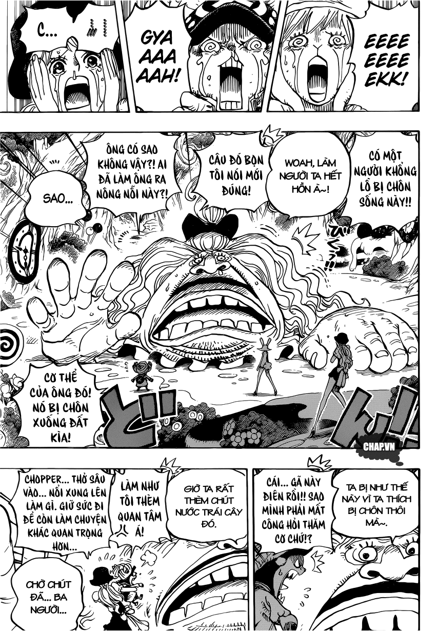 One Piece Tập 831 - Trang 15