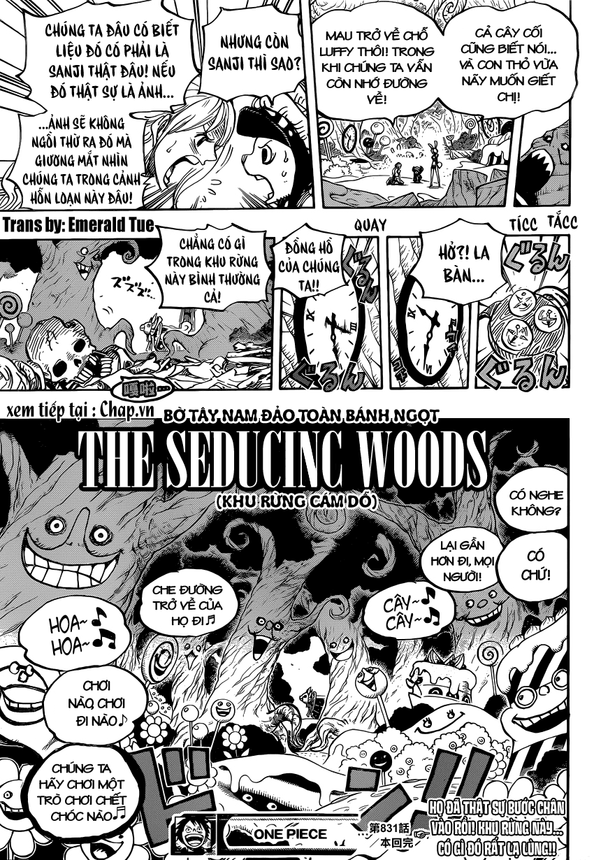 One Piece Tập 831 - Trang 17