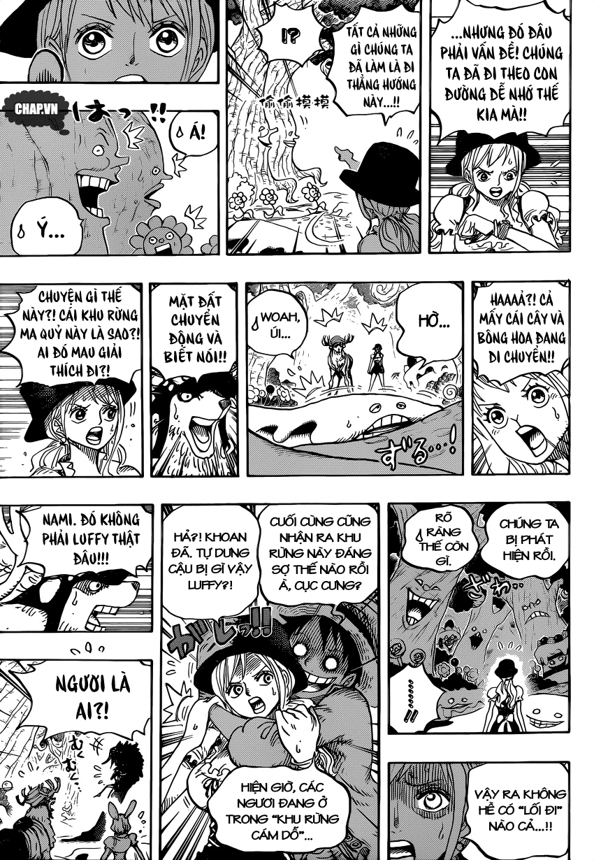 One Piece Tập 832 - Trang 11