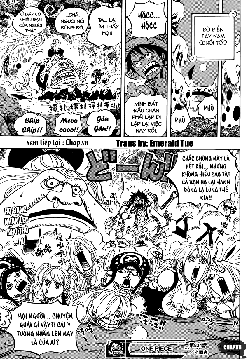 One Piece Tập 834 - Trang 17
