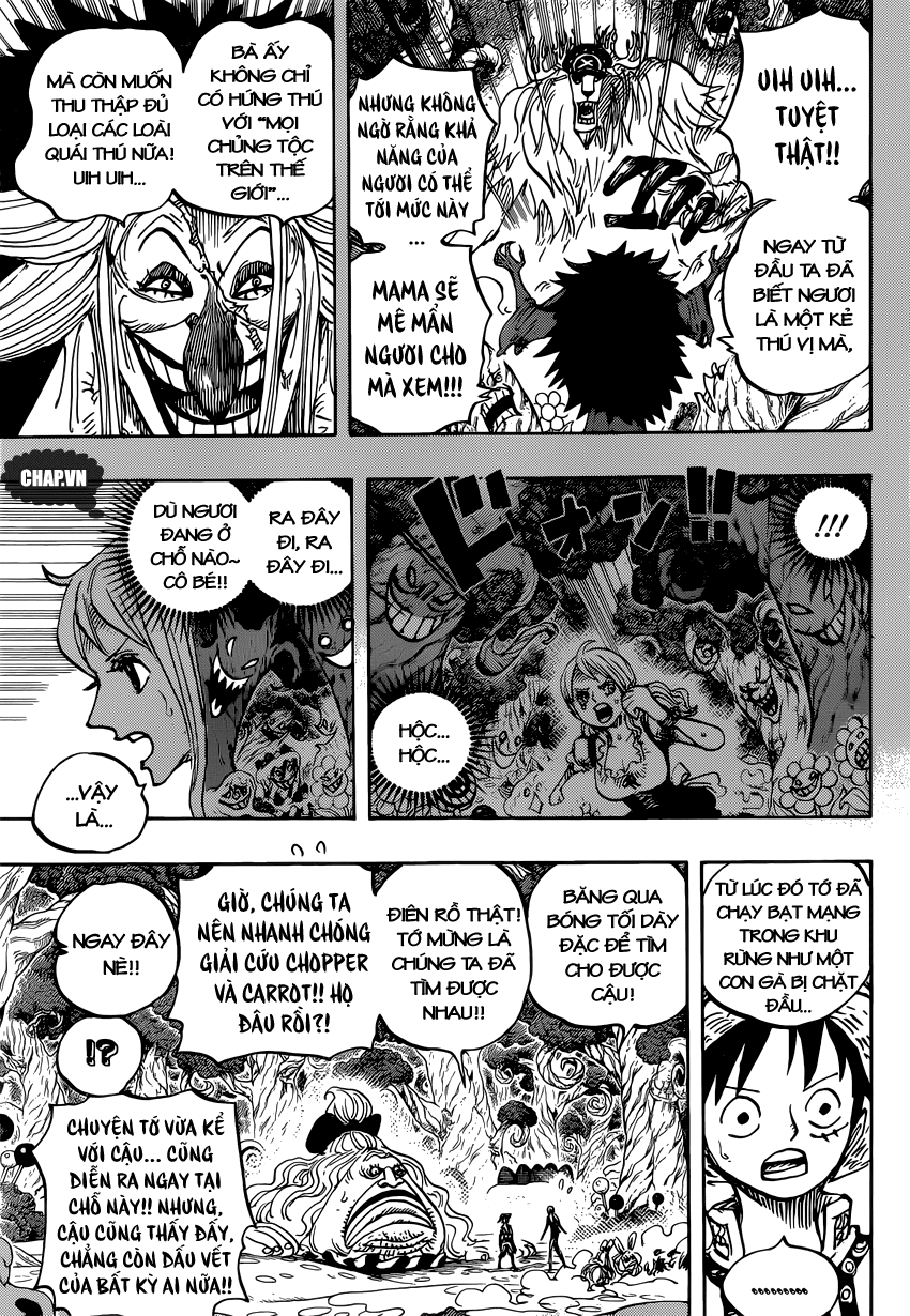 One Piece Tập 835 - Trang 13