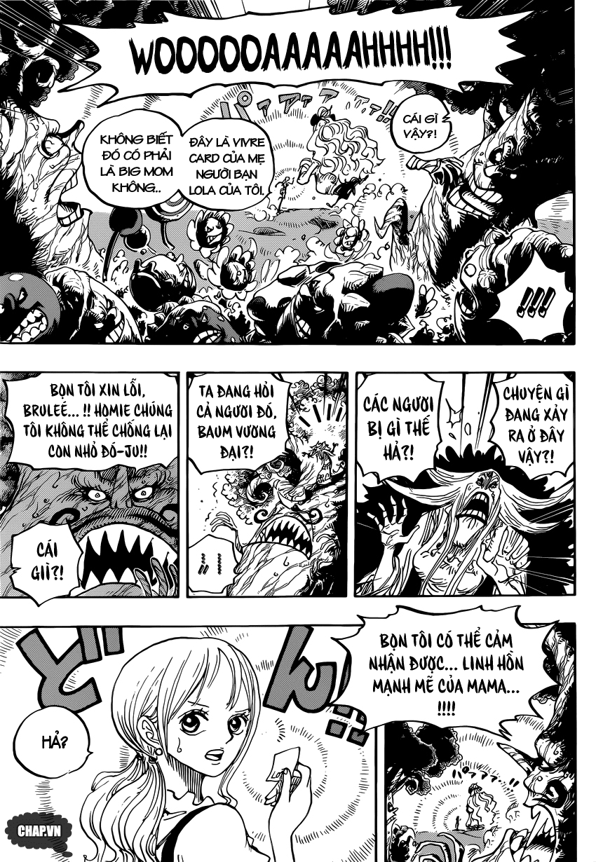 One Piece Tập 836 - Trang 13