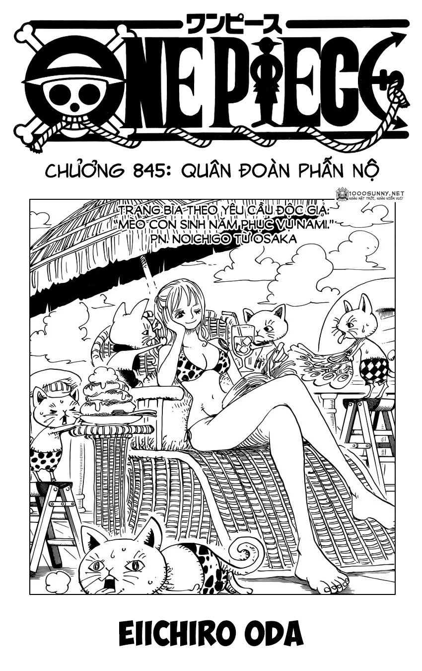 One Piece Tập 845 - Trang 1
