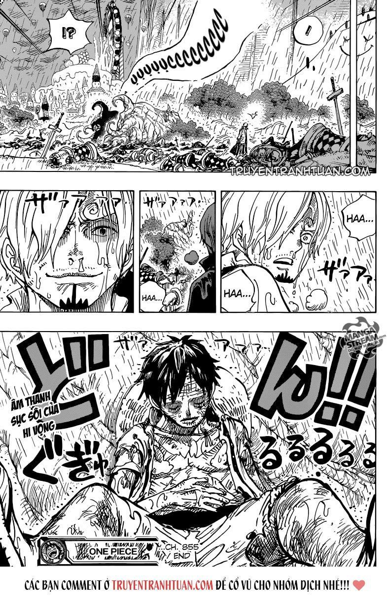 One Piece Tập 855 - Trang 16