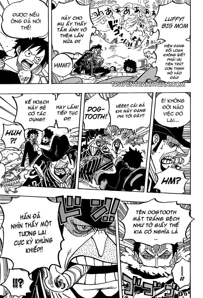 One Piece Tập 864 - Trang 14