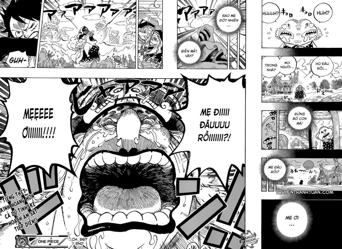 One Piece Tập 867 - Trang 15