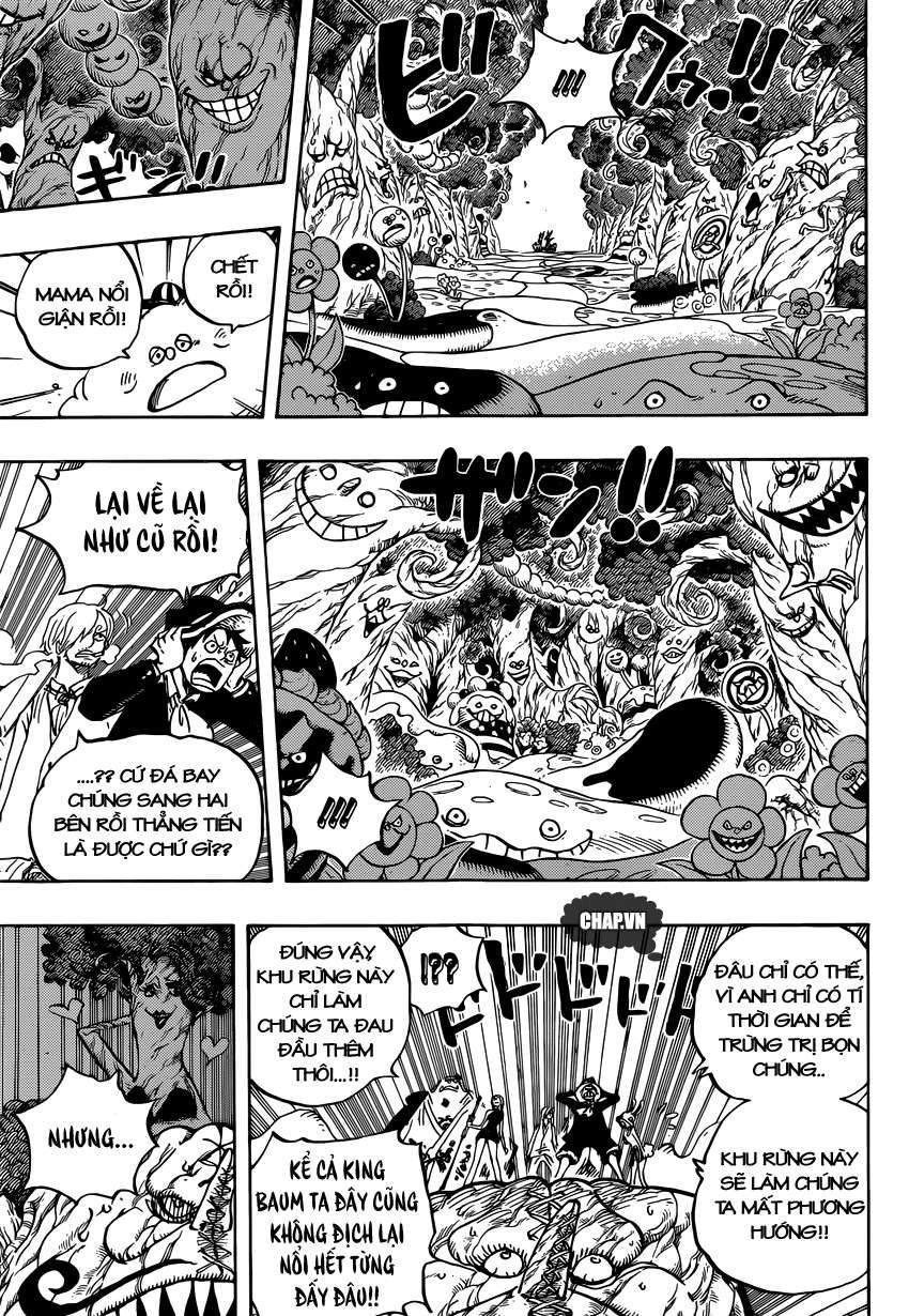 One Piece Tập 874 - Trang 11